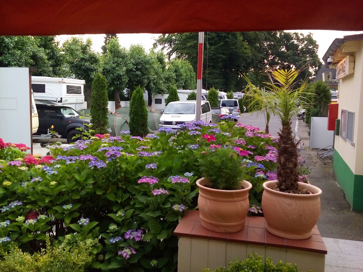 Camping Buchholz 2