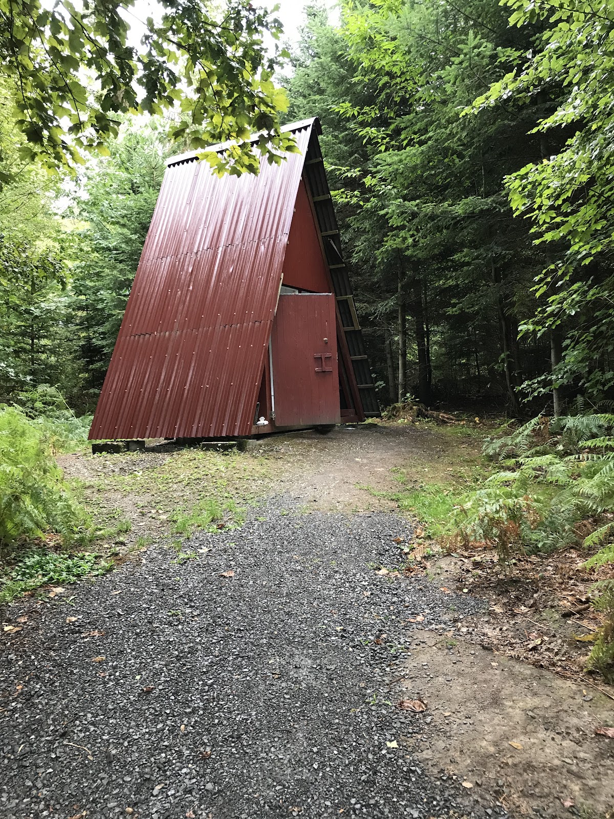 Waldjugendzeltplatz Lohrbacher Forst 3