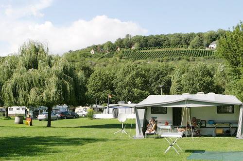 Blütengrund 3