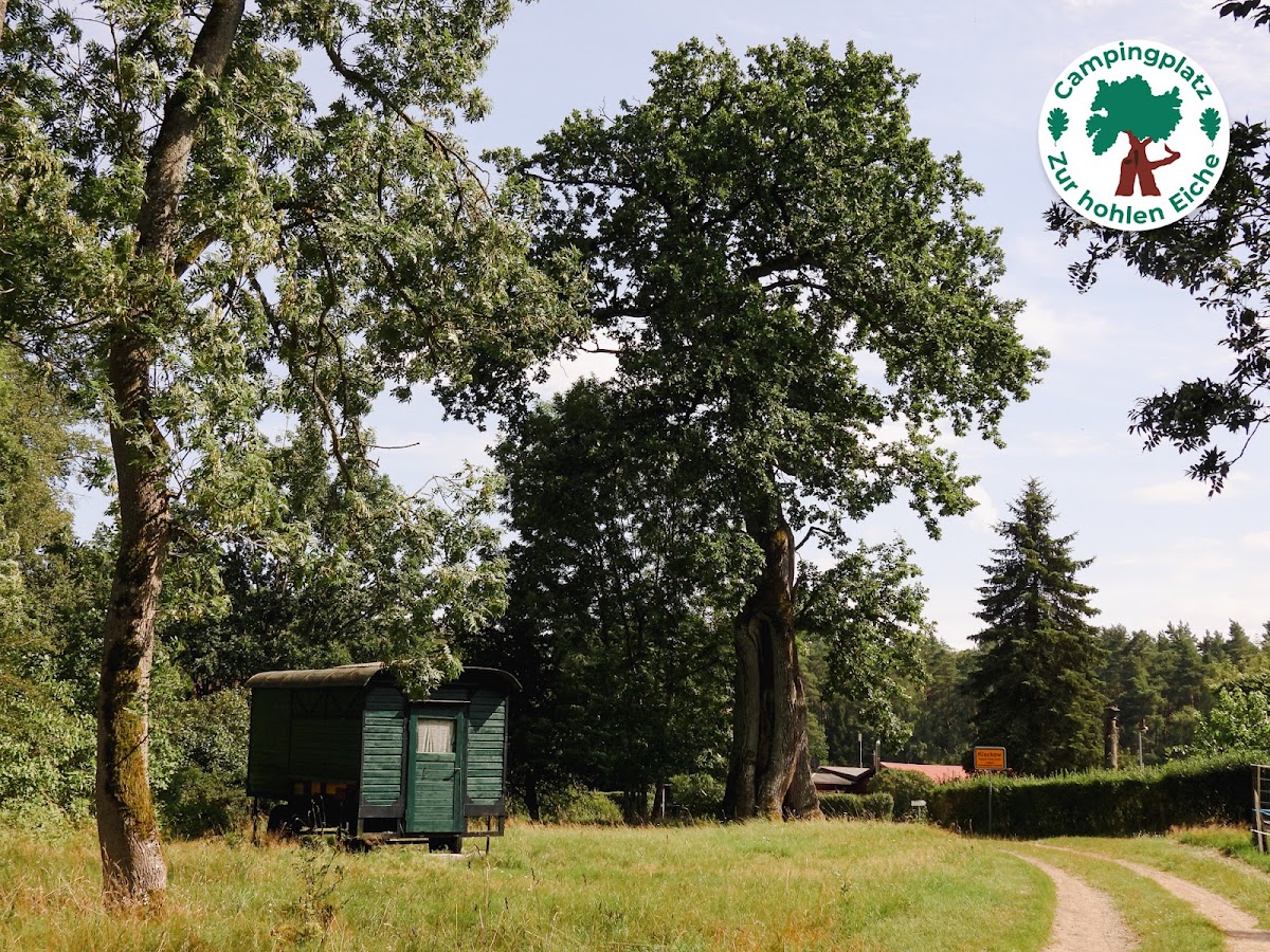Campingplatz "Zur hohlen Eiche" 3