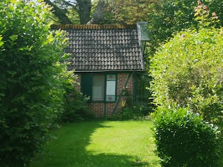 Alte Löweninsel