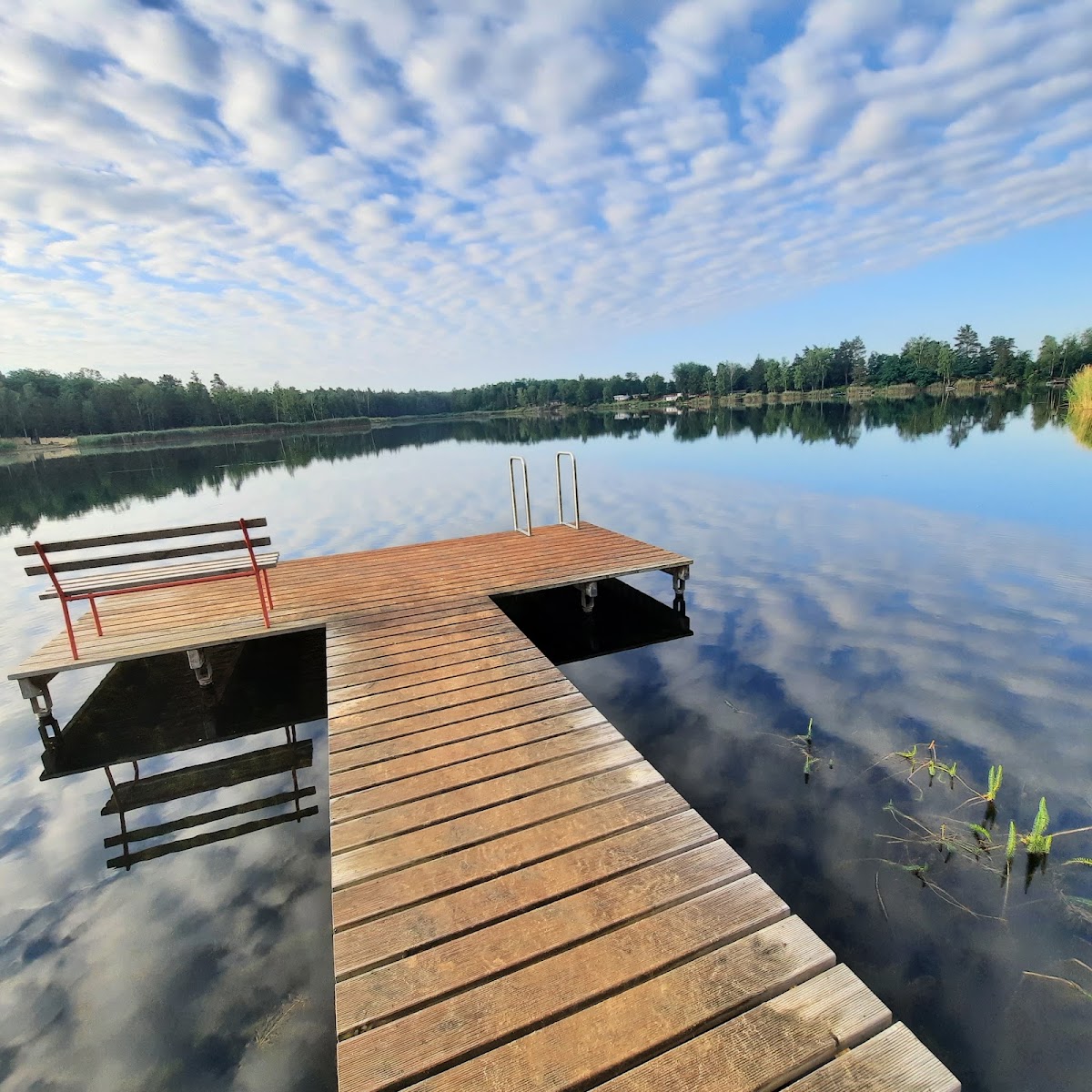 Naturcampingplatz Möhlauer See 3