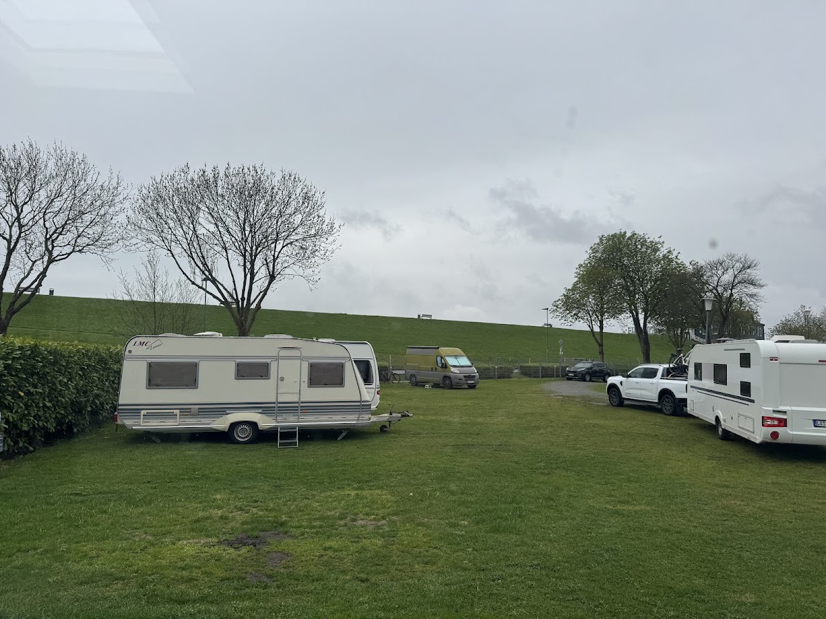 Elbdeichcamp 3