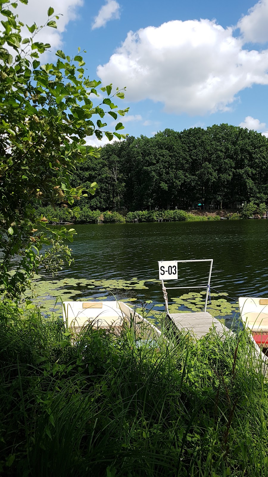 Campingplatz am Schönfelder See 2
