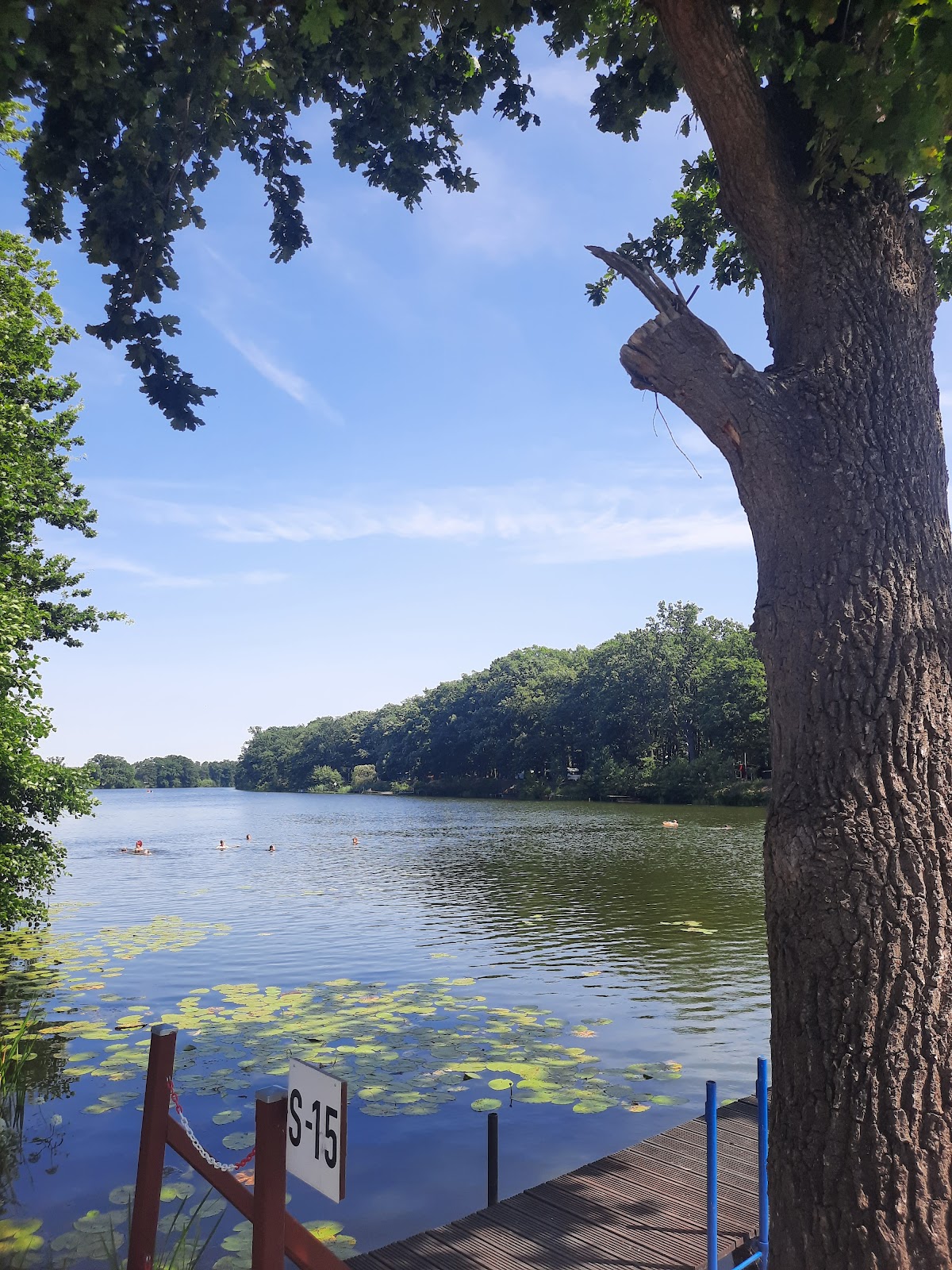 Campingplatz am Schönfelder See 3