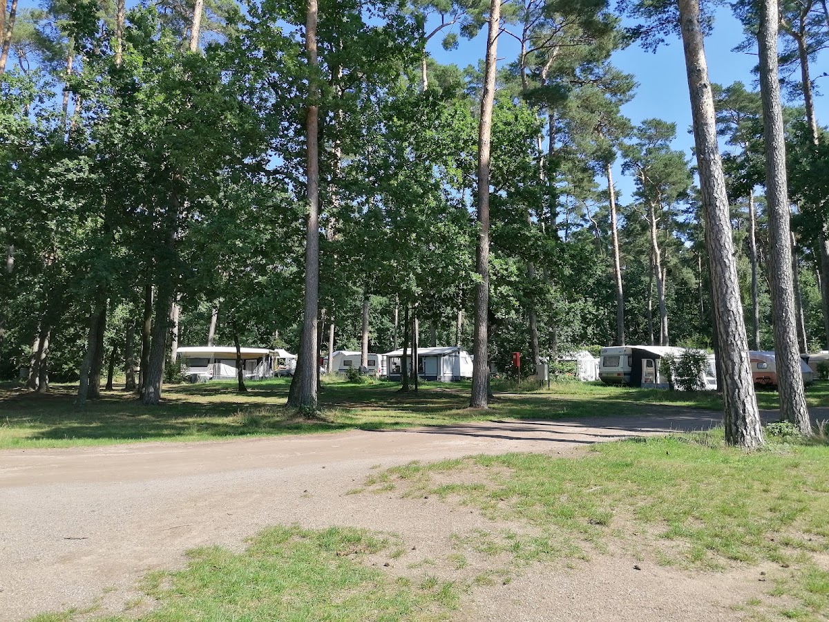 Campingplatz Schwaan 2