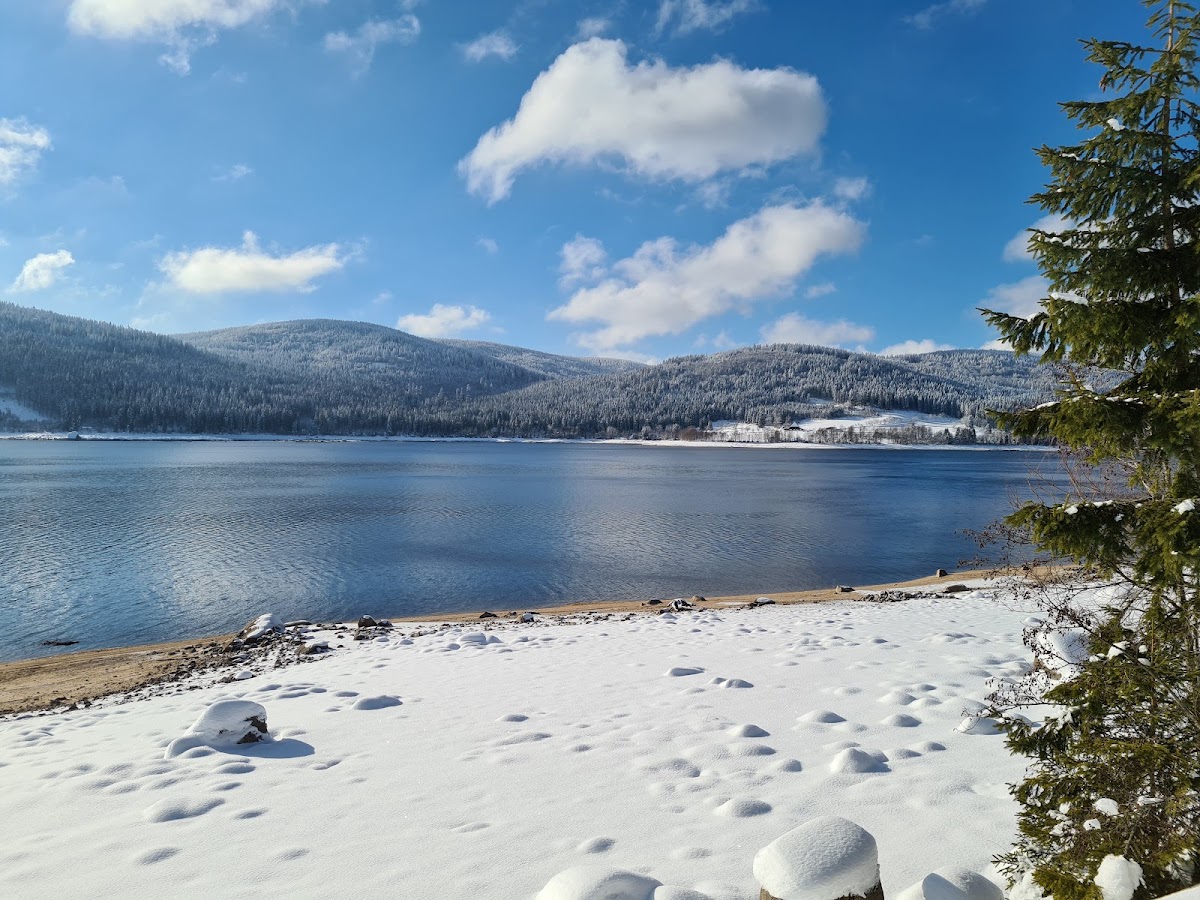 Campingplatz Schluchsee 3