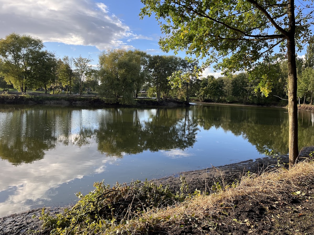 Campingplatz Ludwigsee 2