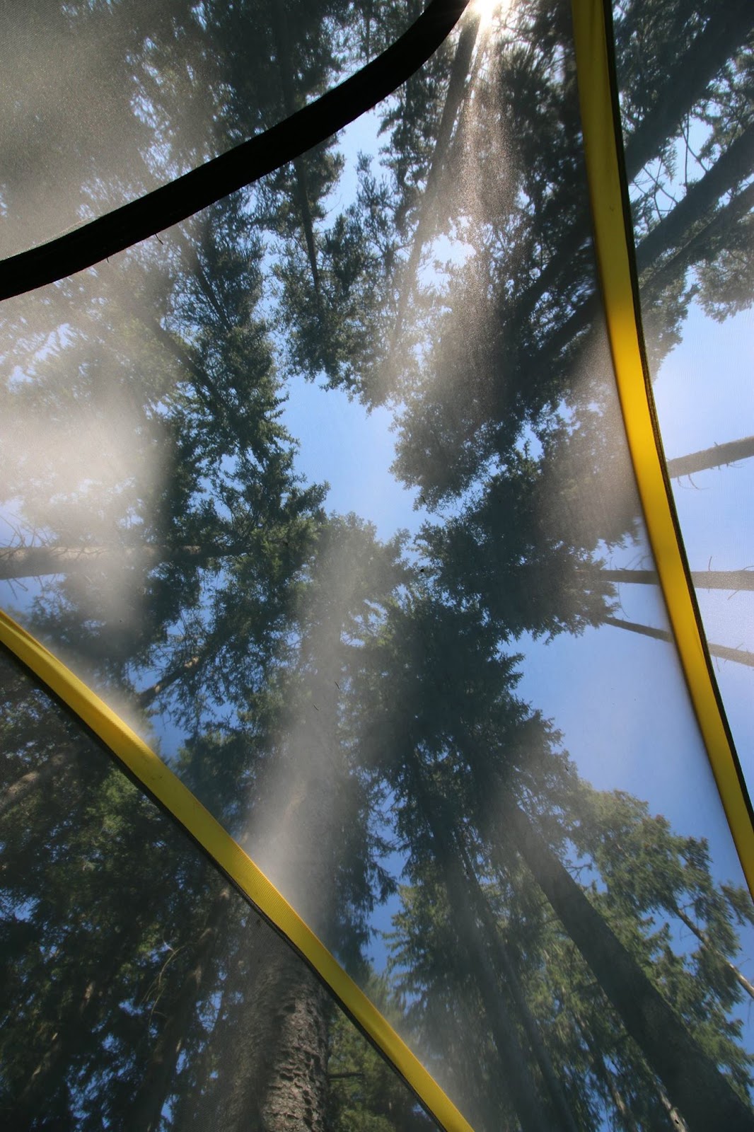 Schwarzwald-Camp 3