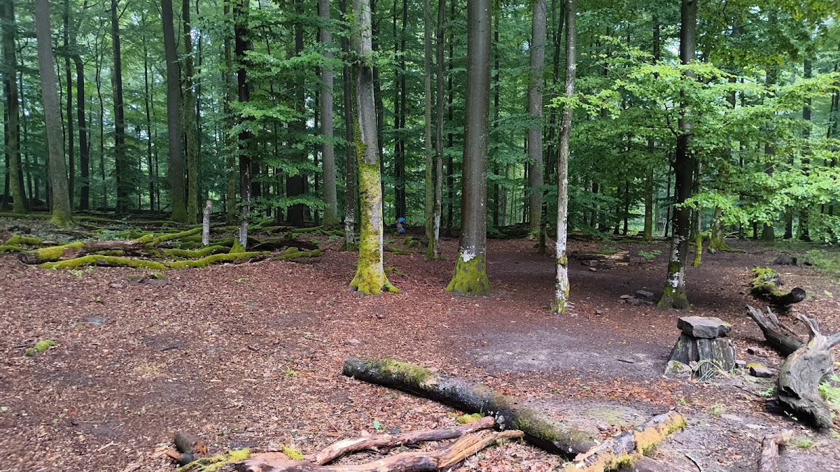 Jagdpfad Trekkingplatz 3