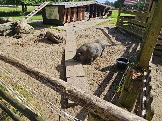 Am Wiesengrund