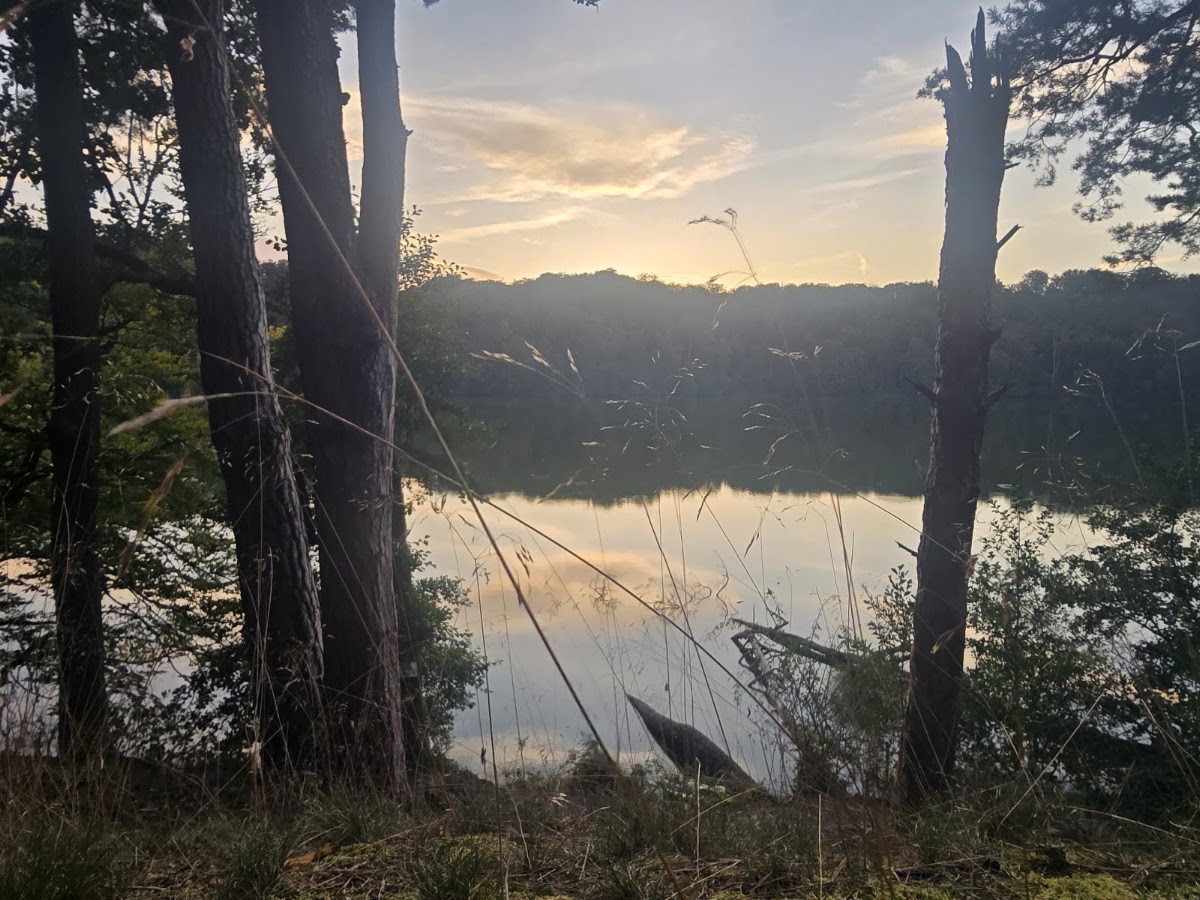 Naturcampingplatz "Großer Treppelsee" 3