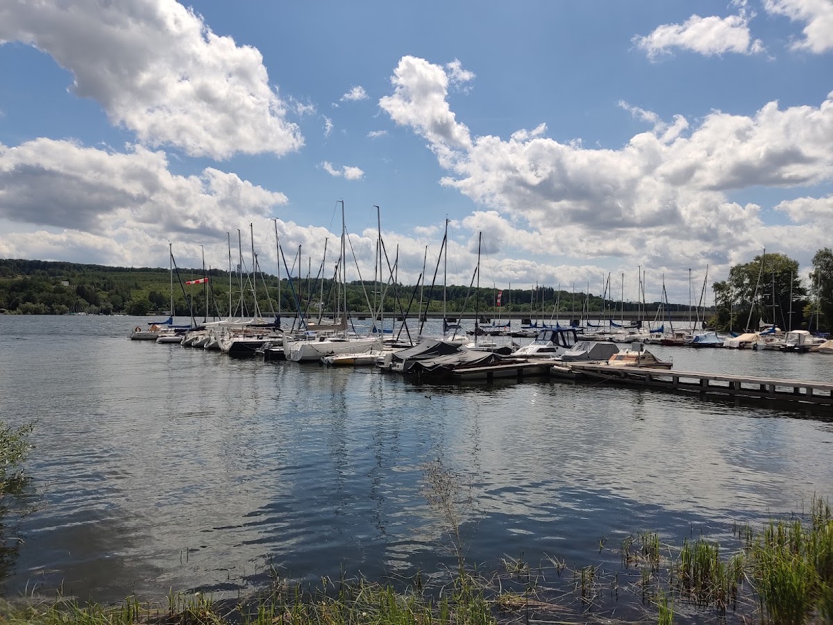 Möhnesee Südufer 2
