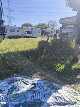 Camping und Rallyfreunde Nachtweide e.V., Lambsheim