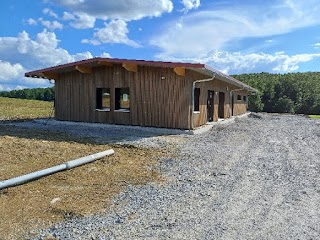 Green Camp Schleierhof