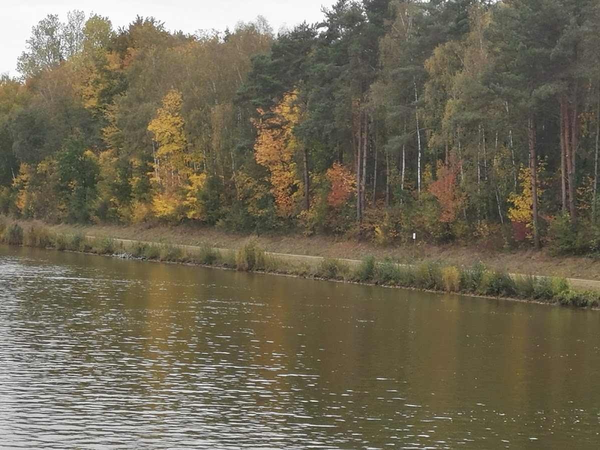 Campingplatz Weißes Moor 3