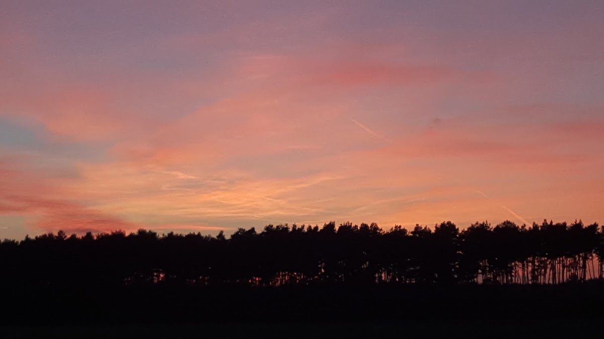 Campingplatz Seerosenteich 2