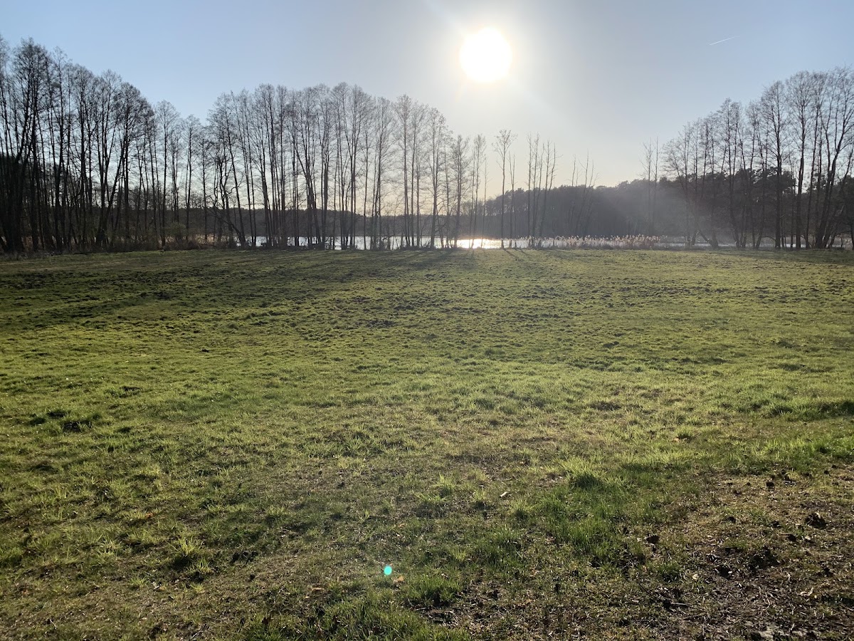 FKK Campingplatz Mittelprendener See 2