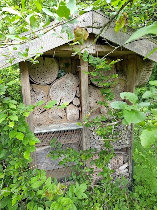 Trekkingplatz Wildes SH