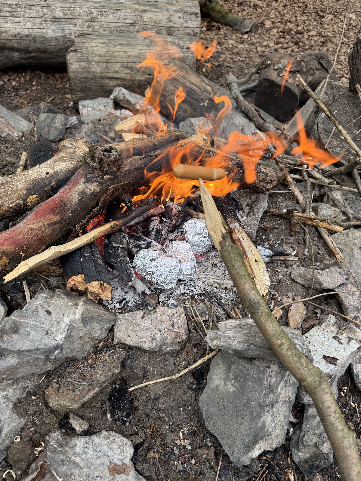 Trekkingcamp Alteburg am Soonwaldsteig 3