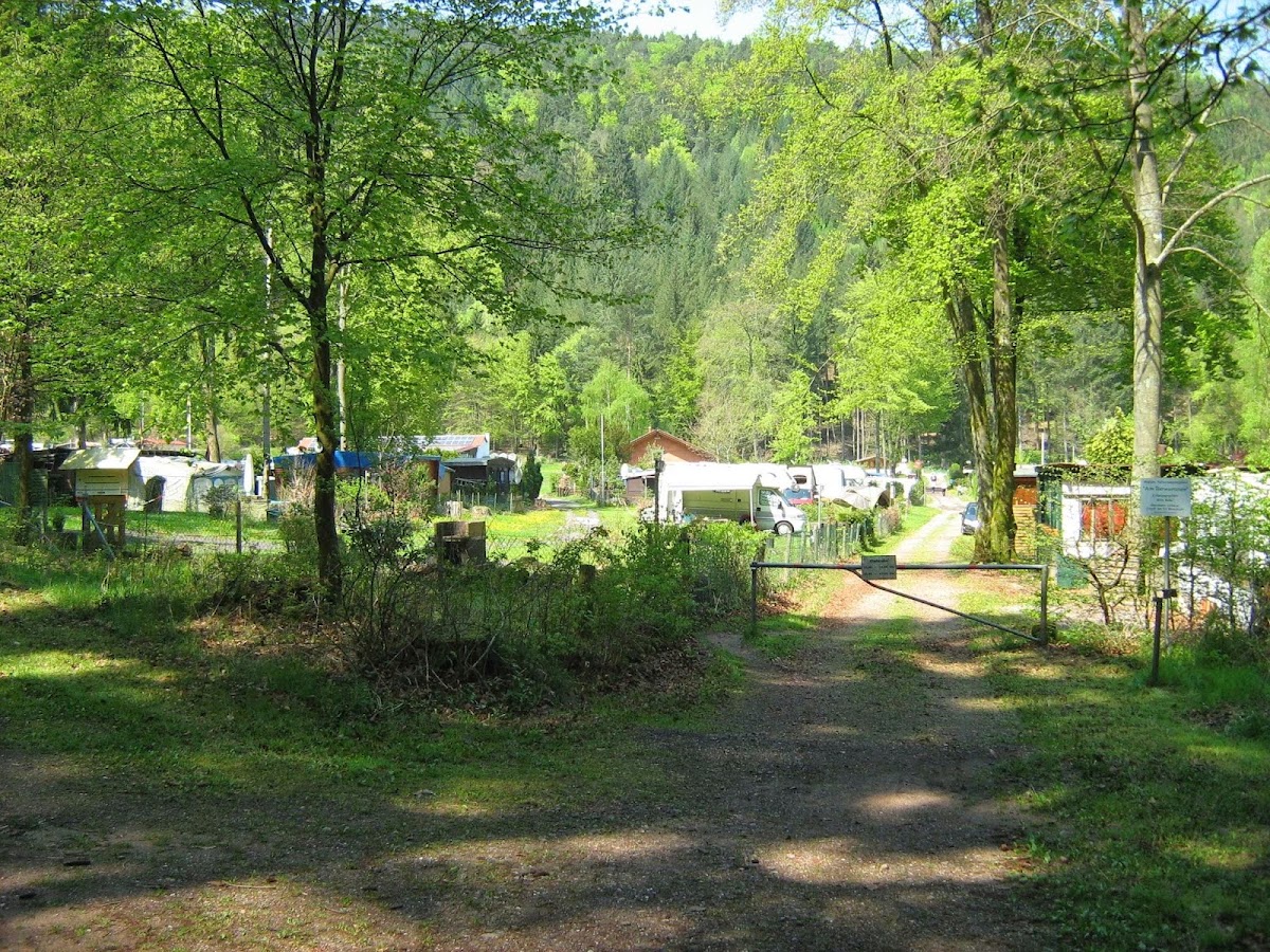 Naturcampingplatz am Berwartstein 2