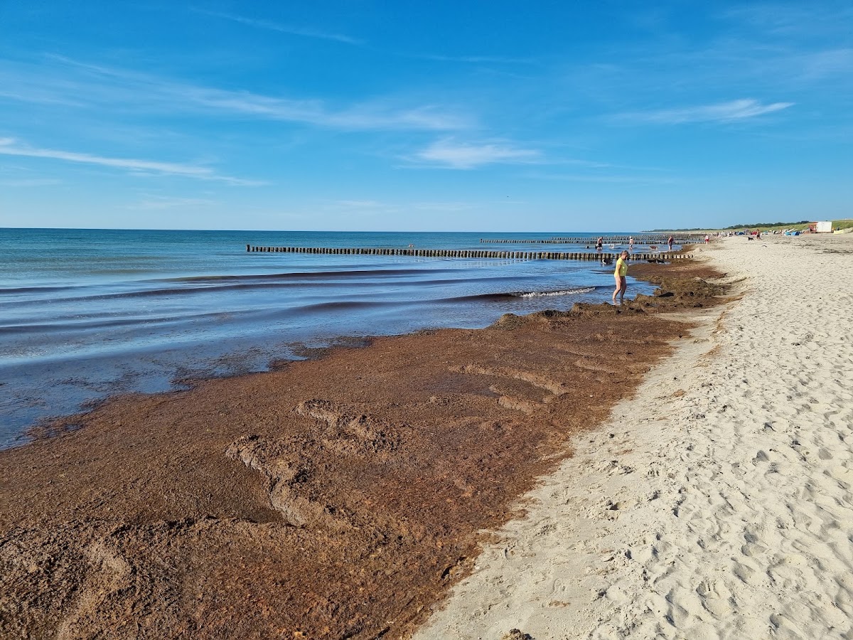 An den Stranddünen 3