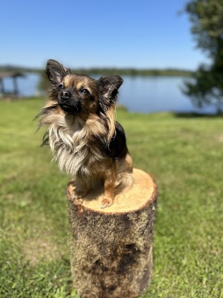 Camping und Stellplatz Pepe (bej Wolters)