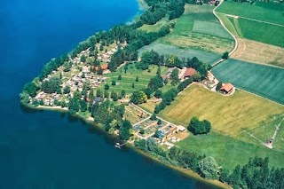Gut Horn